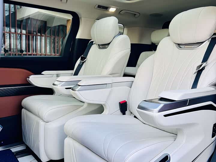 Hongqi HQ9 2023 2023款 2.0T 智联旗悦版