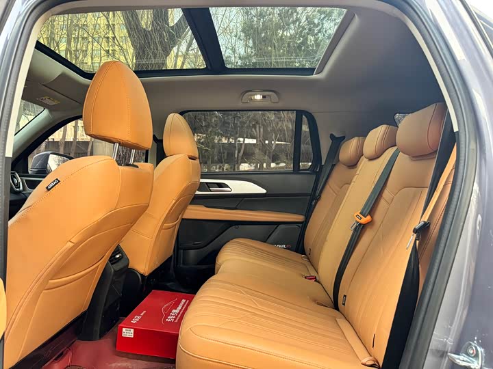 Haval H5 2023 2023款 2.0T自动四驱领英 汽油