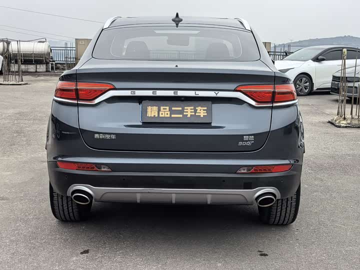 Geely Tugella 2020 2020款 高能版 300T 耀星者