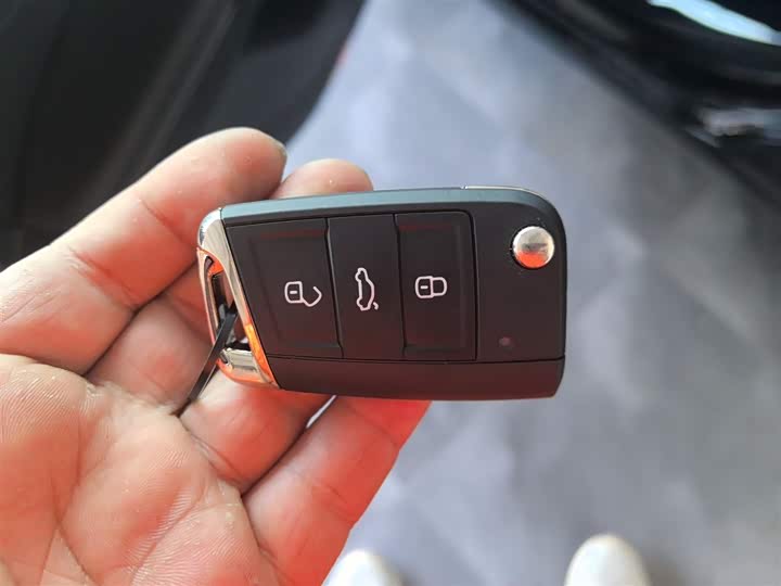 Volkswagen Passat Hybrid 2025 2025款 430PHEV 混动商务版