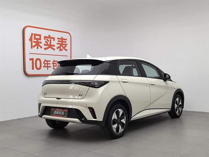 BYD Dolphin 2025 2025款 420km 自由版