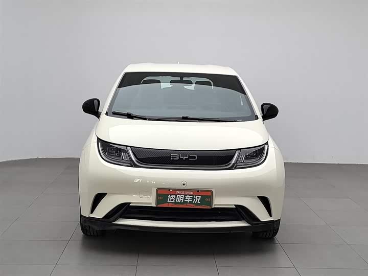 BYD Dolphin 2025 2025款 420km 自由版