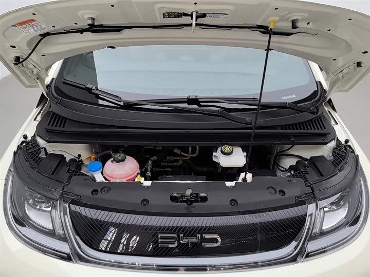 BYD Dolphin 2025 2025款 420km 自由版