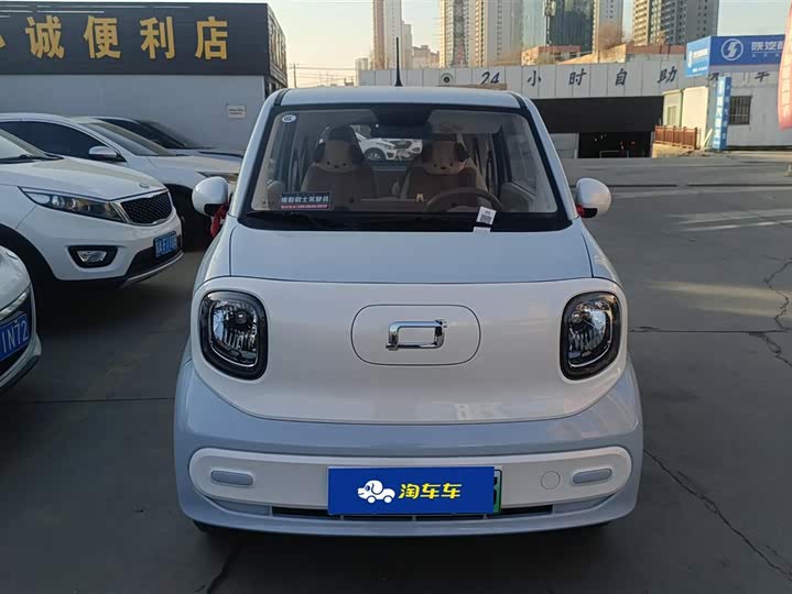 Bestune Pony 2025 2025款 222km 玲珑马