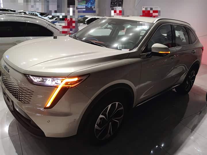 Haval Ruge Max 2023 2023款 1.5L Hi4 105 四驱智能旗舰版