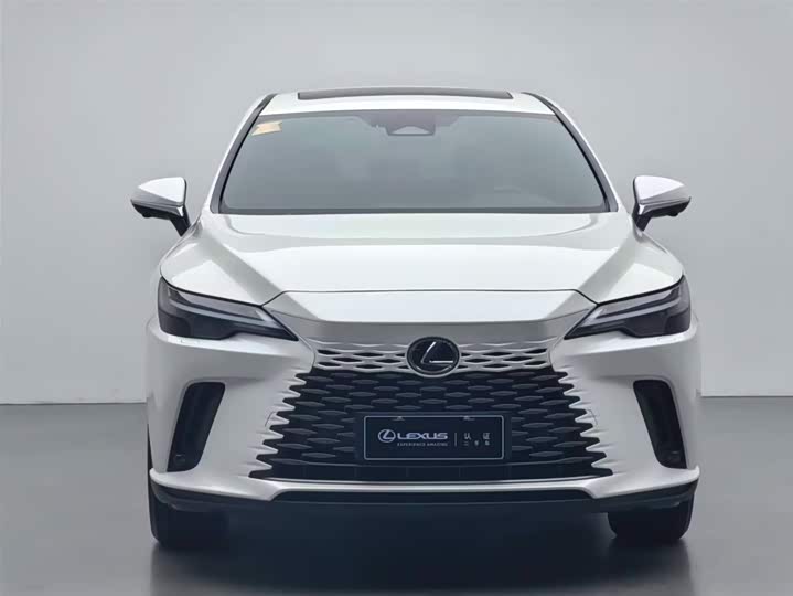 Lexus RX 2025 2025款 300 四驱骏享版