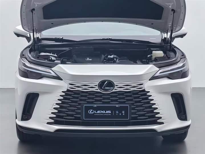 Lexus RX 2025 2025款 300 四驱骏享版