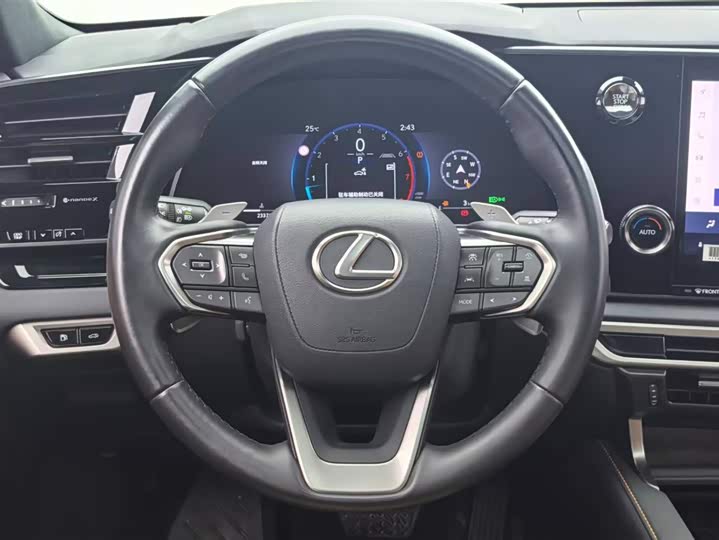 Lexus RX 2025 2025款 300 四驱骏享版