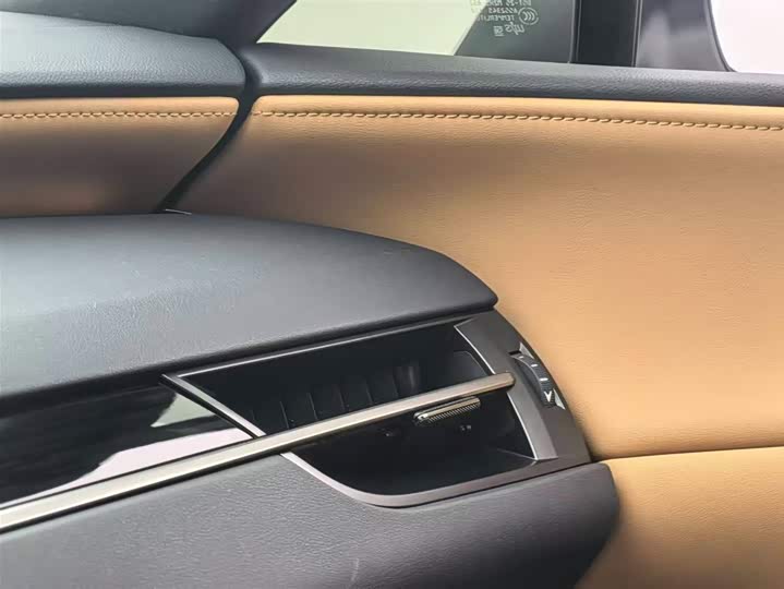 Lexus RX 2025 2025款 300 四驱骏享版