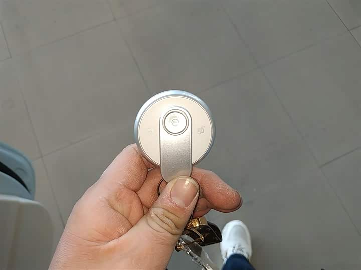 Bestune Pony 2026 2026款 222km 闪耀马