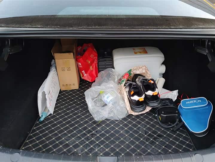 BYD Qin Plus 2025 2025款 DM-i 智驾版 55KM领先型