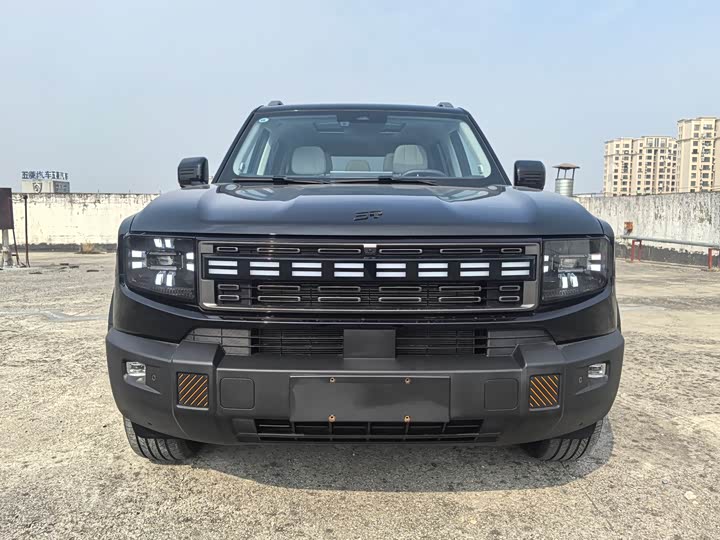 Jetour Shanhai T1 2024 2024款 150km 向海