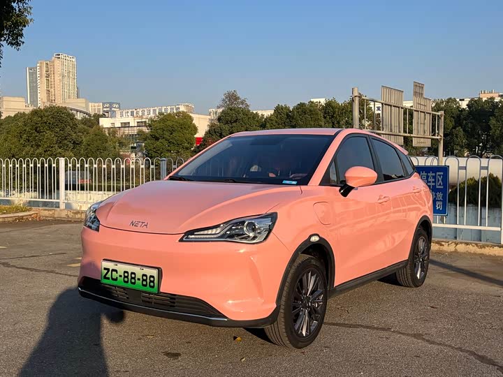 Hozon V 2022 2022款 标准续航行业定制版