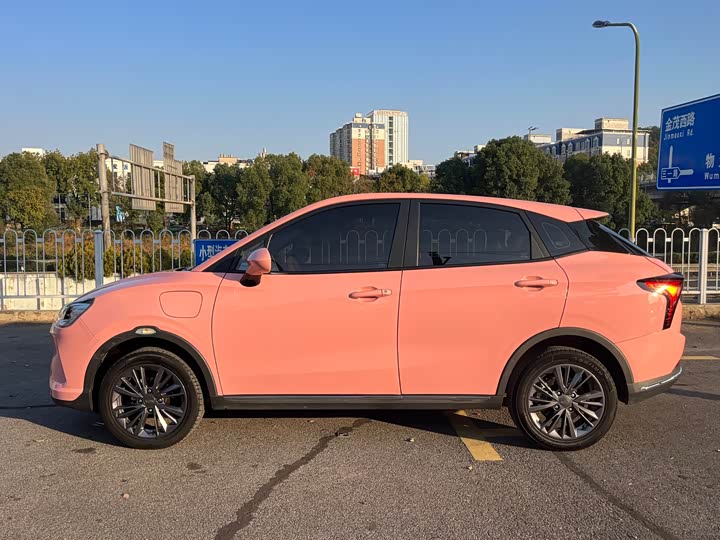 Hozon V 2022 2022款 标准续航行业定制版