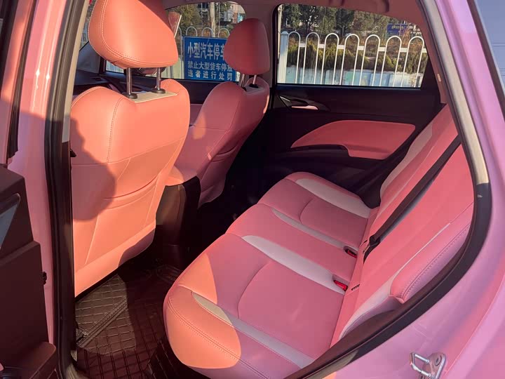 Hozon V 2022 2022款 标准续航行业定制版