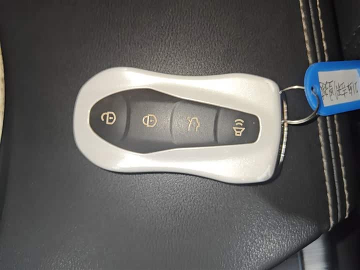 Geely Tugella 2020 2020款 高能版 350T 耀星者