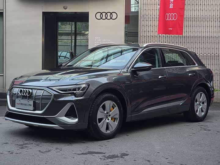 Audi e-tron 2021 2021款 50 quattro 豪华型