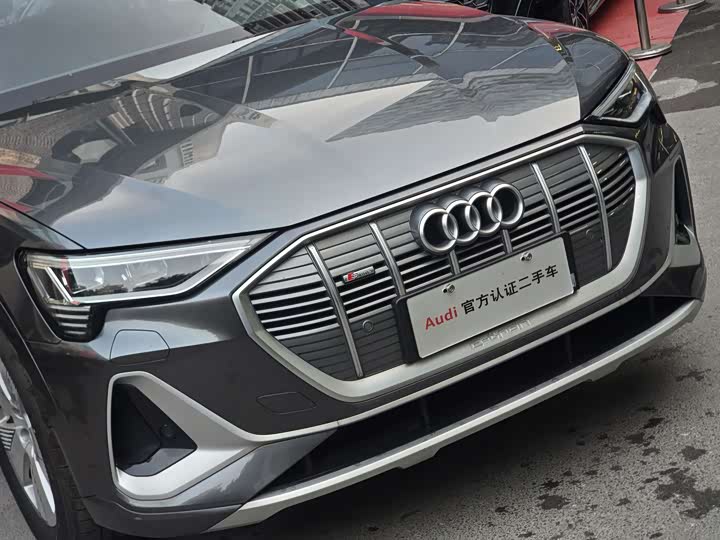 Audi e-tron 2021 2021款 50 quattro 豪华型