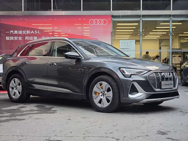 Audi e-tron 2021 2021款 50 quattro 豪华型