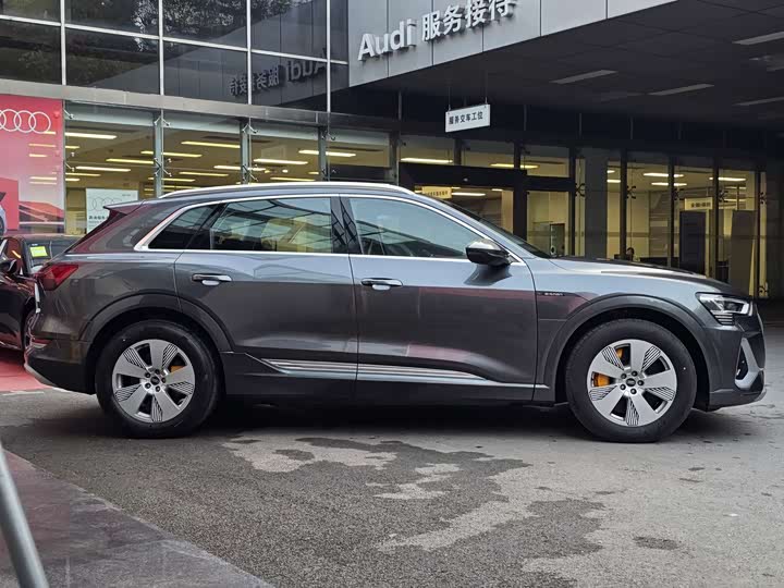 Audi e-tron 2021 2021款 50 quattro 豪华型