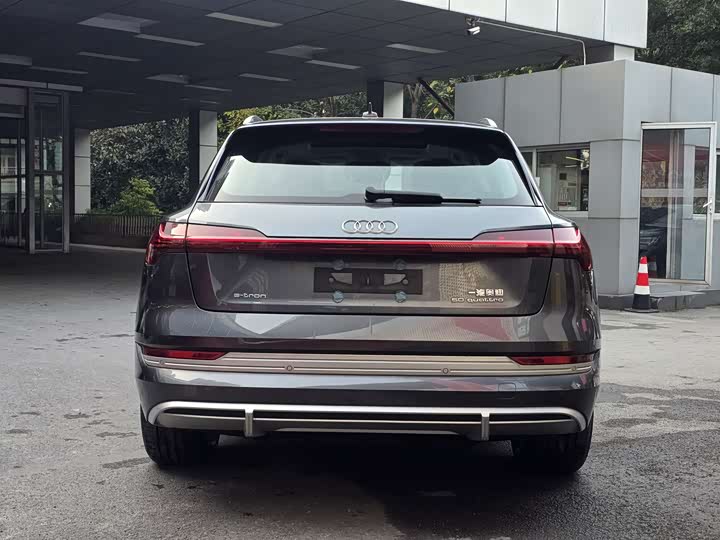 Audi e-tron 2021 2021款 50 quattro 豪华型