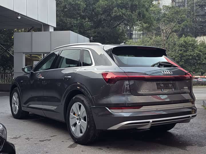 Audi e-tron 2021 2021款 50 quattro 豪华型