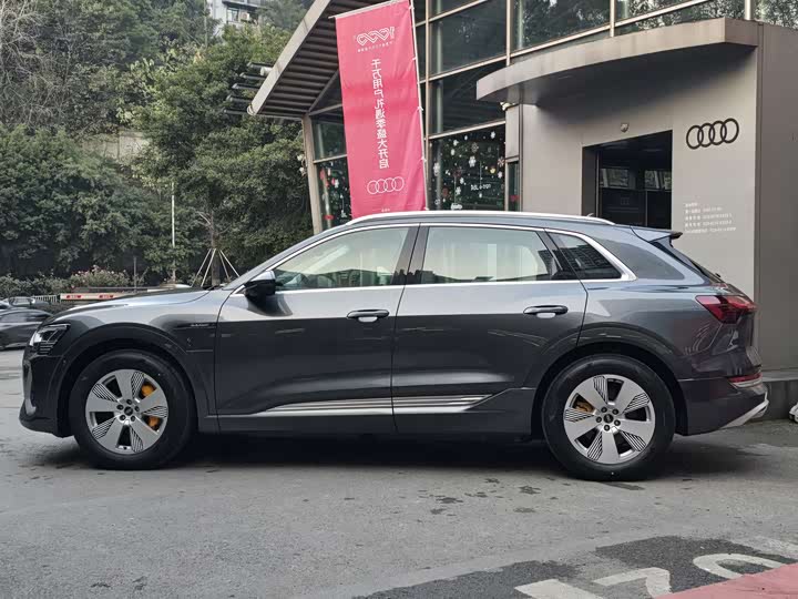 Audi e-tron 2021 2021款 50 quattro 豪华型