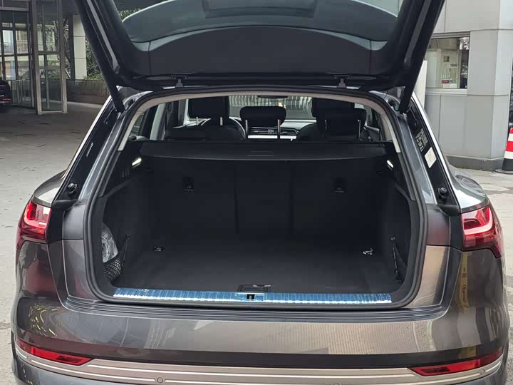 Audi e-tron 2021 2021款 50 quattro 豪华型