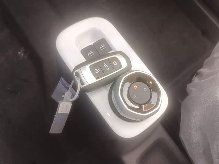 Geely Galaxy Panda Mini 2025 2025款 熊猫mini 210km 元气熊