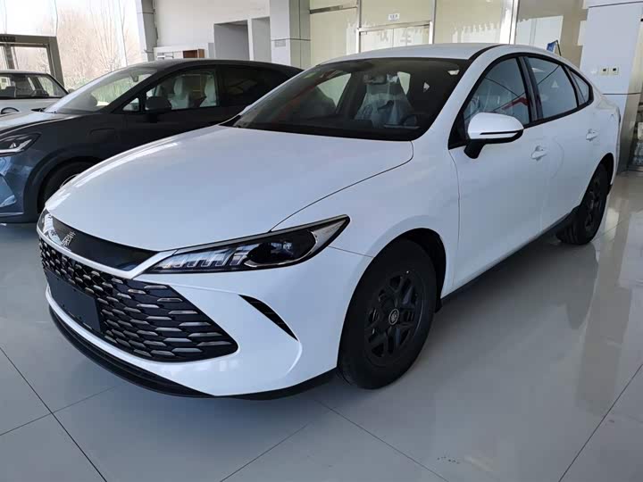 BYD Qin Plus 2025 2025款 DM-i 智驾版 55KM领先型