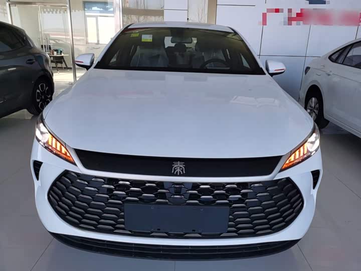 BYD Qin Plus 2025 2025款 DM-i 智驾版 55KM领先型