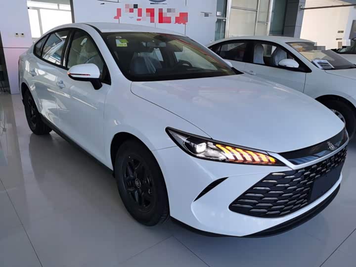 BYD Qin Plus 2025 2025款 DM-i 智驾版 55KM领先型