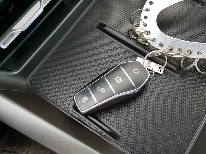 BYD Qin Plus 2025 2025款 DM-i 智驾版 55KM领先型