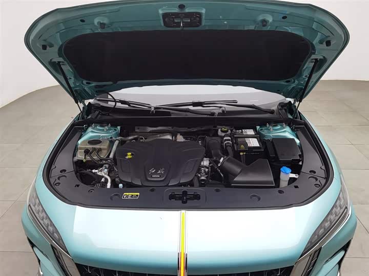 Hongqi H6 2024 2024款 2.0T 致美版