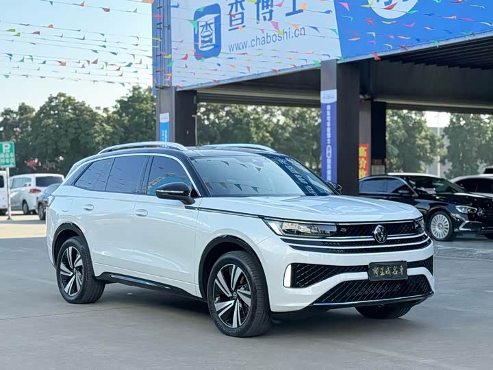 Volkswagen Tavendor 2023 2023款 380TSI 四驱R-Line巡游版