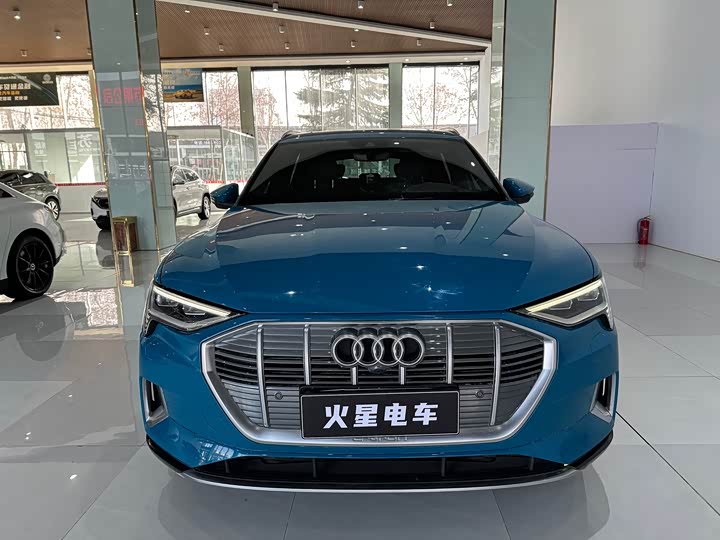 Audi e-tron 2019 2019款 55 quattro 专享型