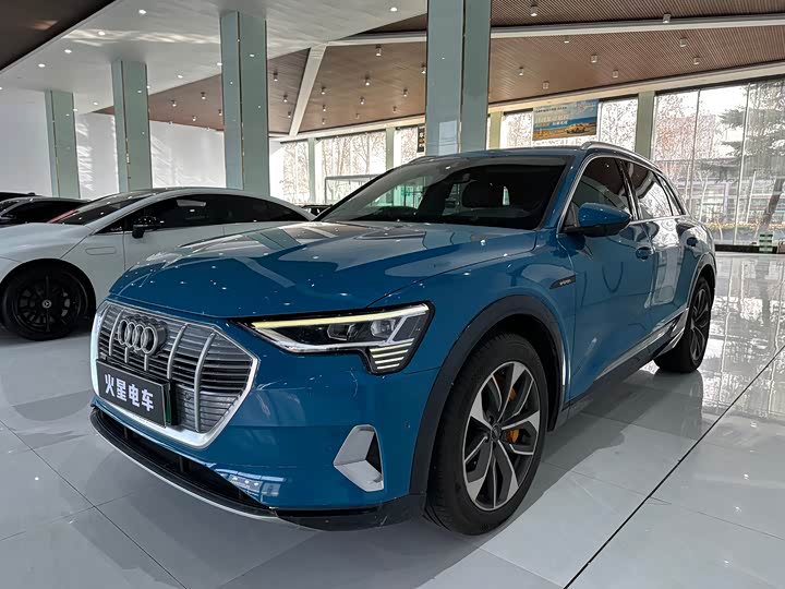 Audi e-tron 2019 2019款 55 quattro 专享型