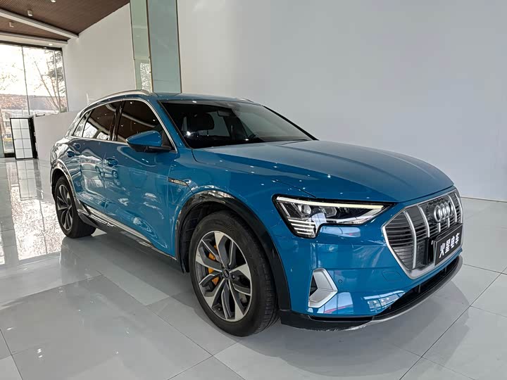 Audi e-tron 2019 2019款 55 quattro 专享型