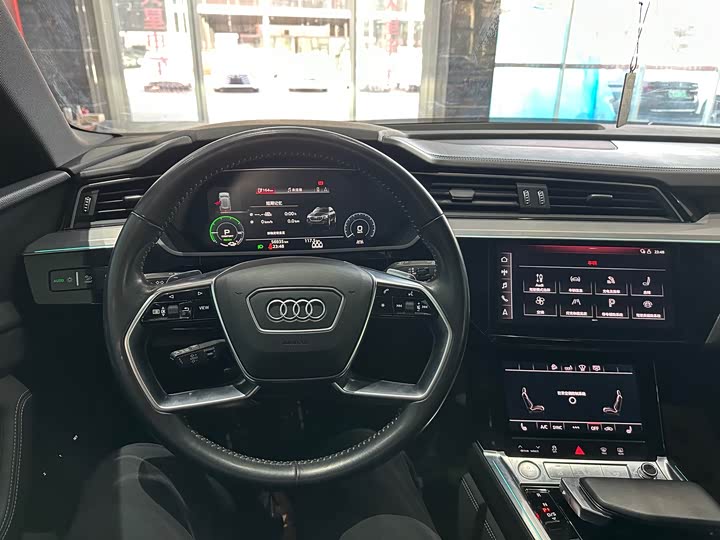Audi e-tron 2019 2019款 55 quattro 专享型
