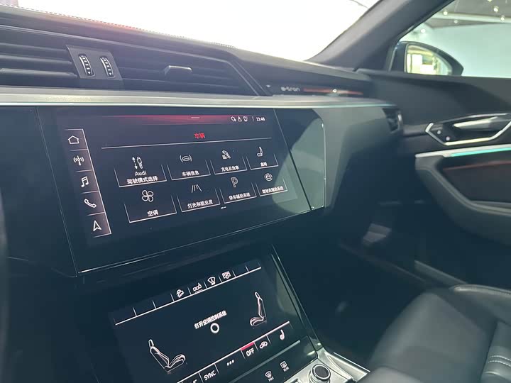 Audi e-tron 2019 2019款 55 quattro 专享型