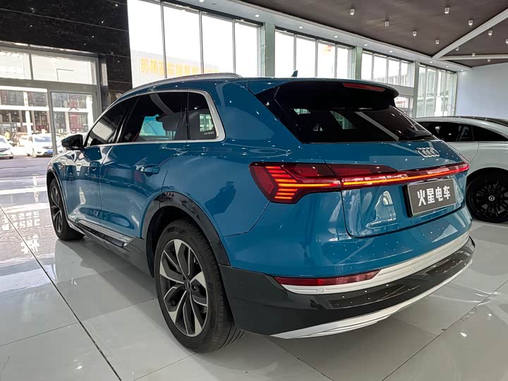 Audi e-tron 2019 2019款 55 quattro 专享型