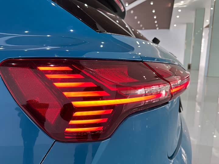 Audi e-tron 2019 2019款 55 quattro 专享型