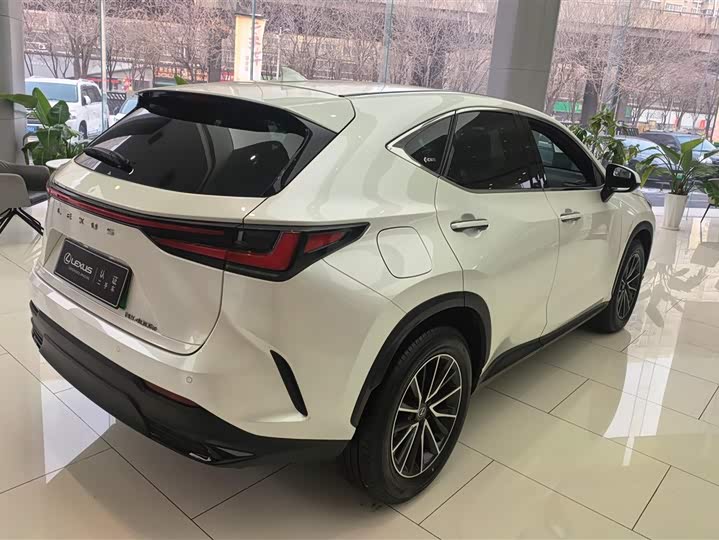 Lexus NX Hybrid 2024 2024款 400h+ 畅悦版