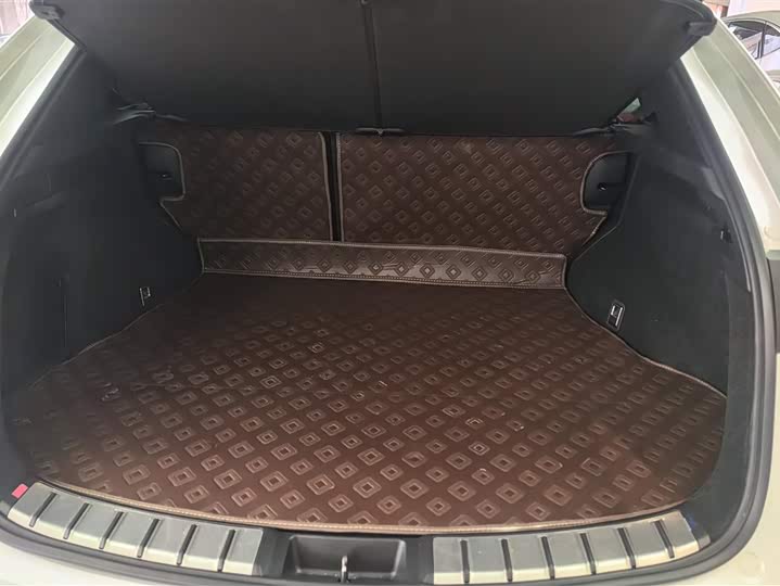 Lexus NX Hybrid 2024 2024款 400h+ 畅悦版