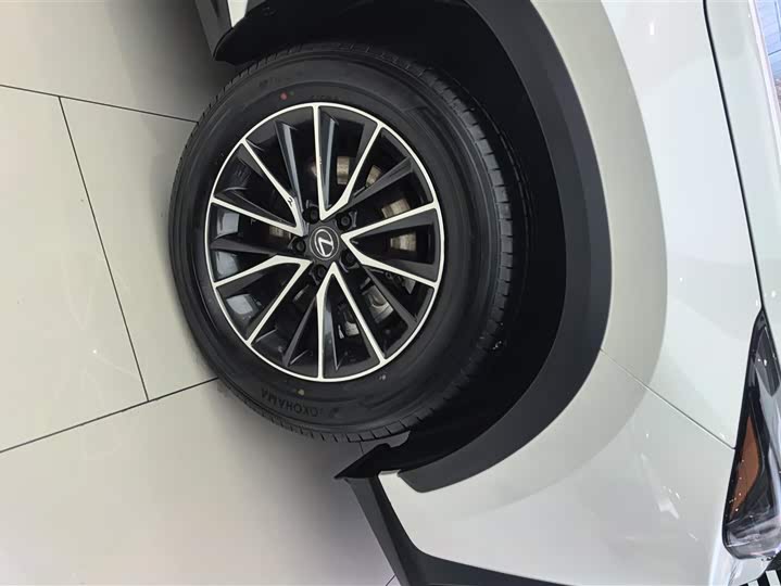 Lexus NX Hybrid 2024 2024款 400h+ 畅悦版