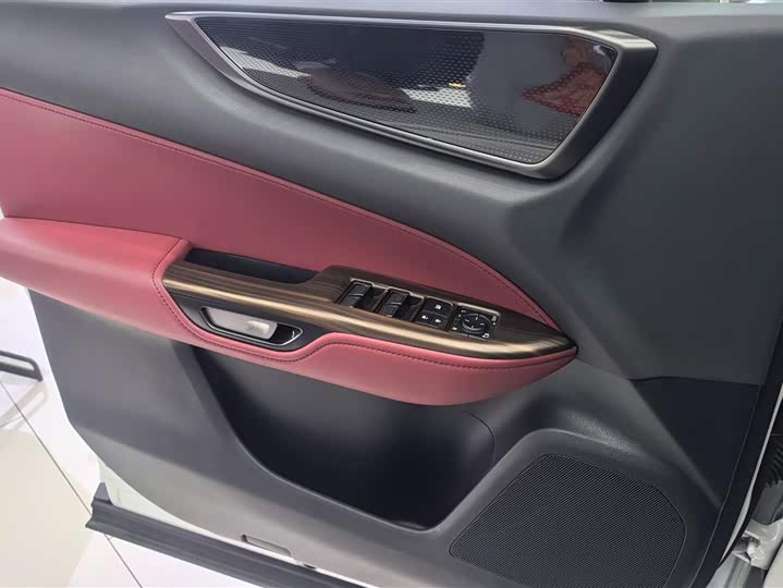 Lexus NX Hybrid 2024 2024款 400h+ 畅悦版