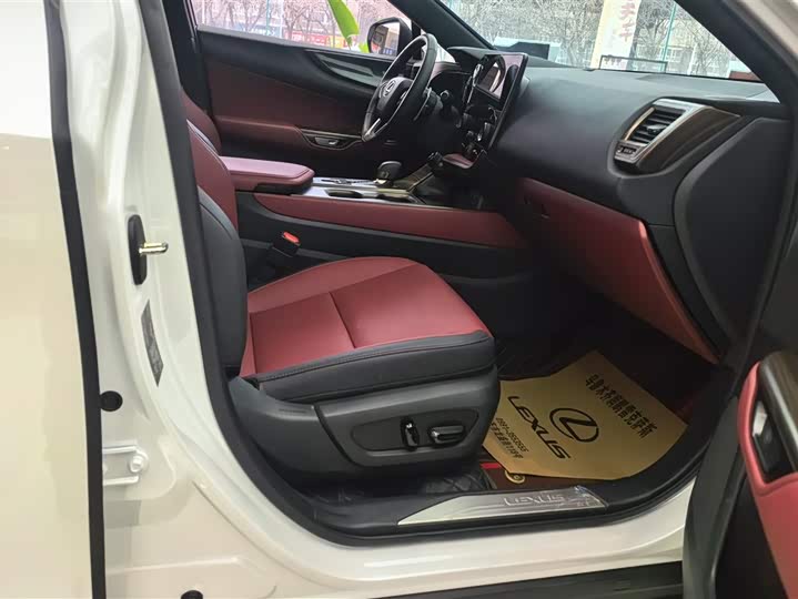 Lexus NX Hybrid 2024 2024款 400h+ 畅悦版