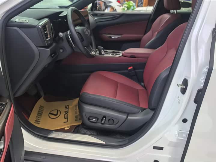 Lexus NX Hybrid 2024 2024款 400h+ 畅悦版