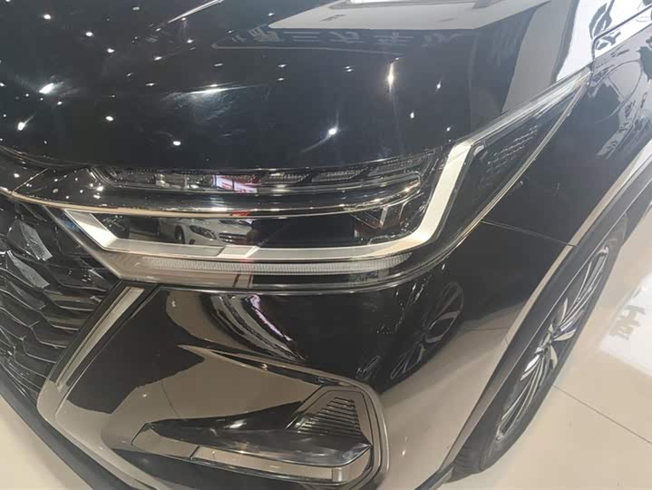 Chery Tiggo 8 Pro 2024 2024款 冠军版 290T 两驱巅峰版 7座