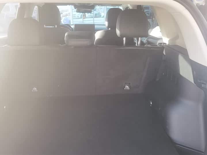 Haval H-Dog 2023 2023款 1.5T 两驱潮野版Plus